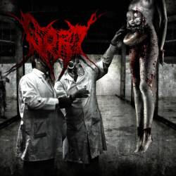 Gory (BRA) : Promo 2009